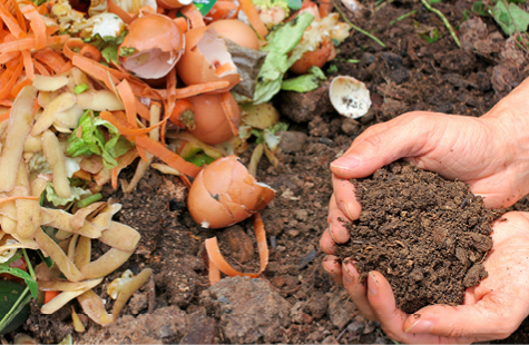 composting