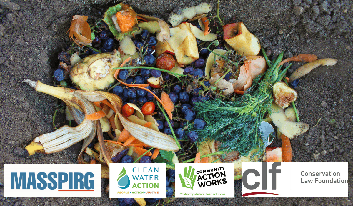 image of scraps of food waste