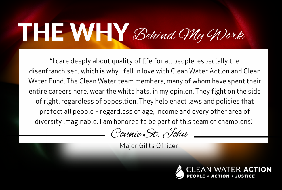 BHM Water Champion Quote Graphic by Connie St. John