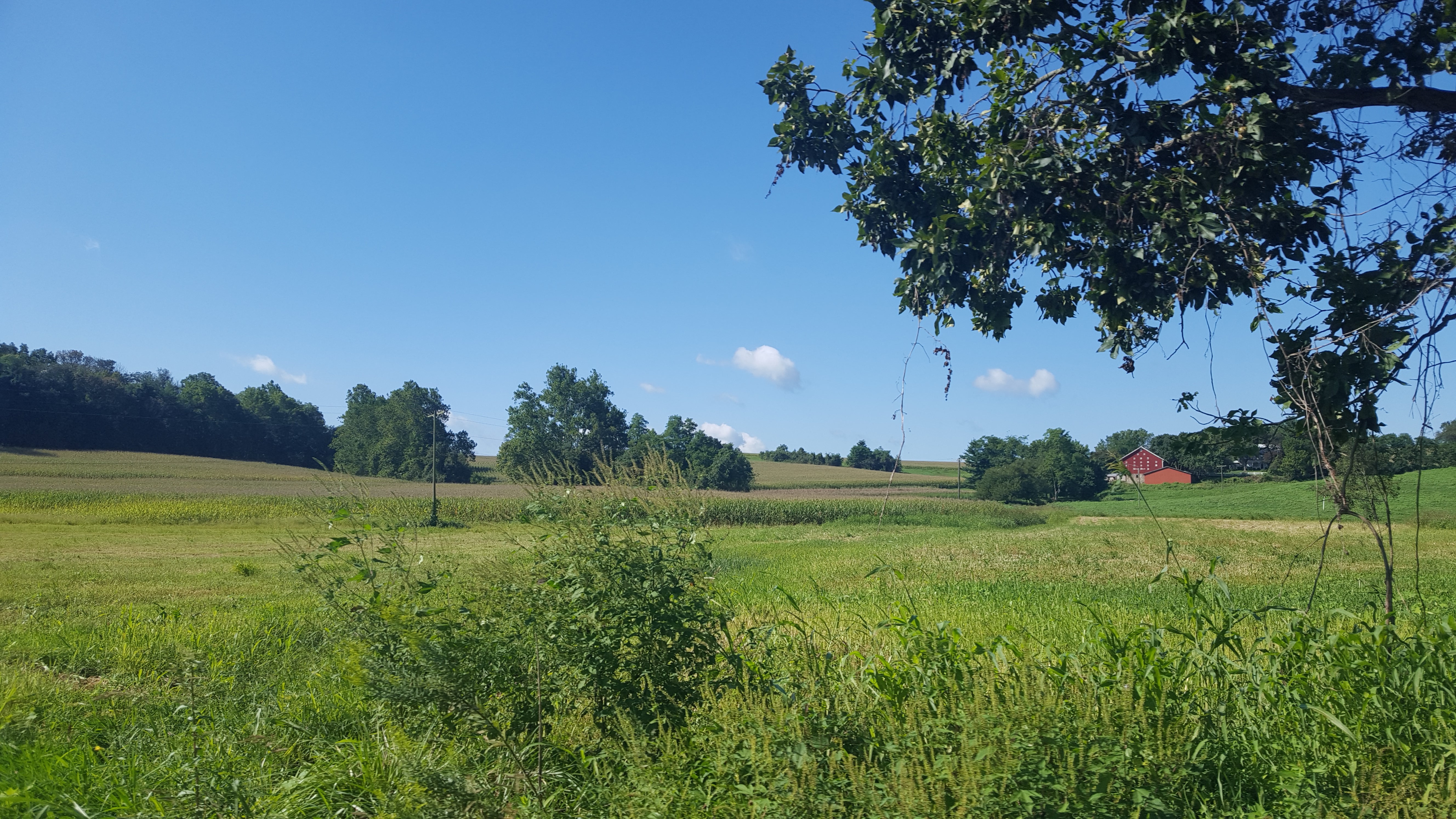 A farm in Central Maryland