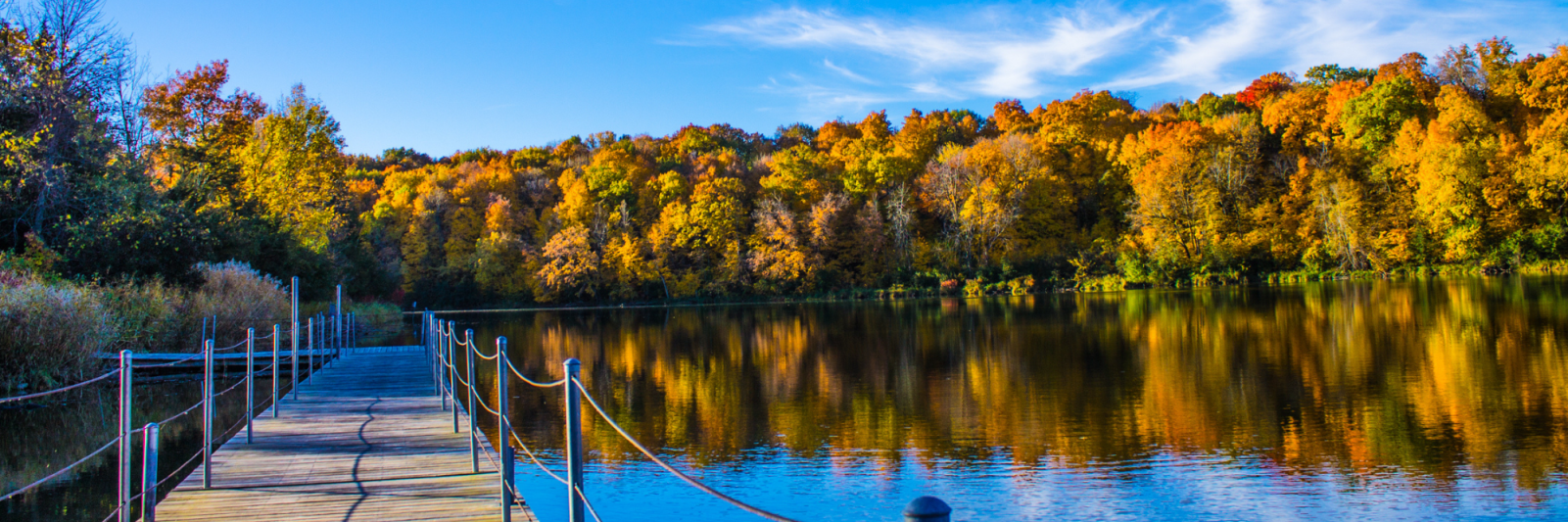 Dock leading over a MN lake with trees in classic fall colors behind
