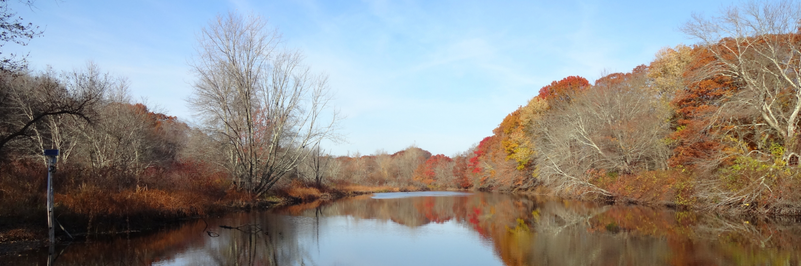 Autumn leaves reflecting an impoundment lake. USFWS via Flickr Public Domain