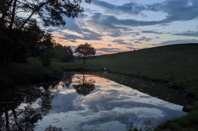 Sky reflected in small pool 