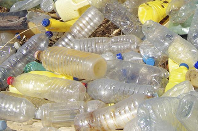 Rhode Island Bottles - Zero Waste