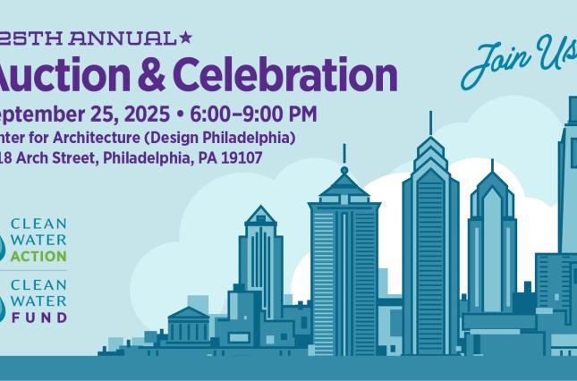 graphic design for pa philly auction event