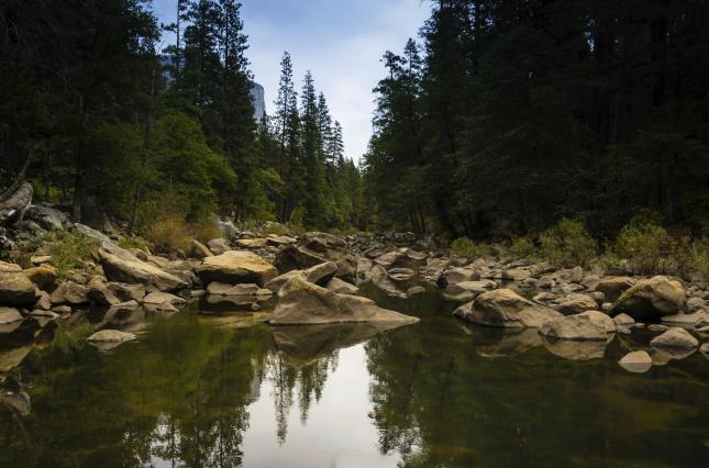 Forest Lake. Photo credit: DACowley / iStock