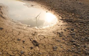 Dry earth, puddle. Photo credit: Piyaset / Shutterstock