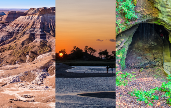 Petrified Forest National Park, Gateway National Recreation Area, Mammoth Cave National Park