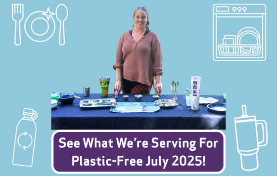 Graphic design that says See What We're Serving For Plastic Free July